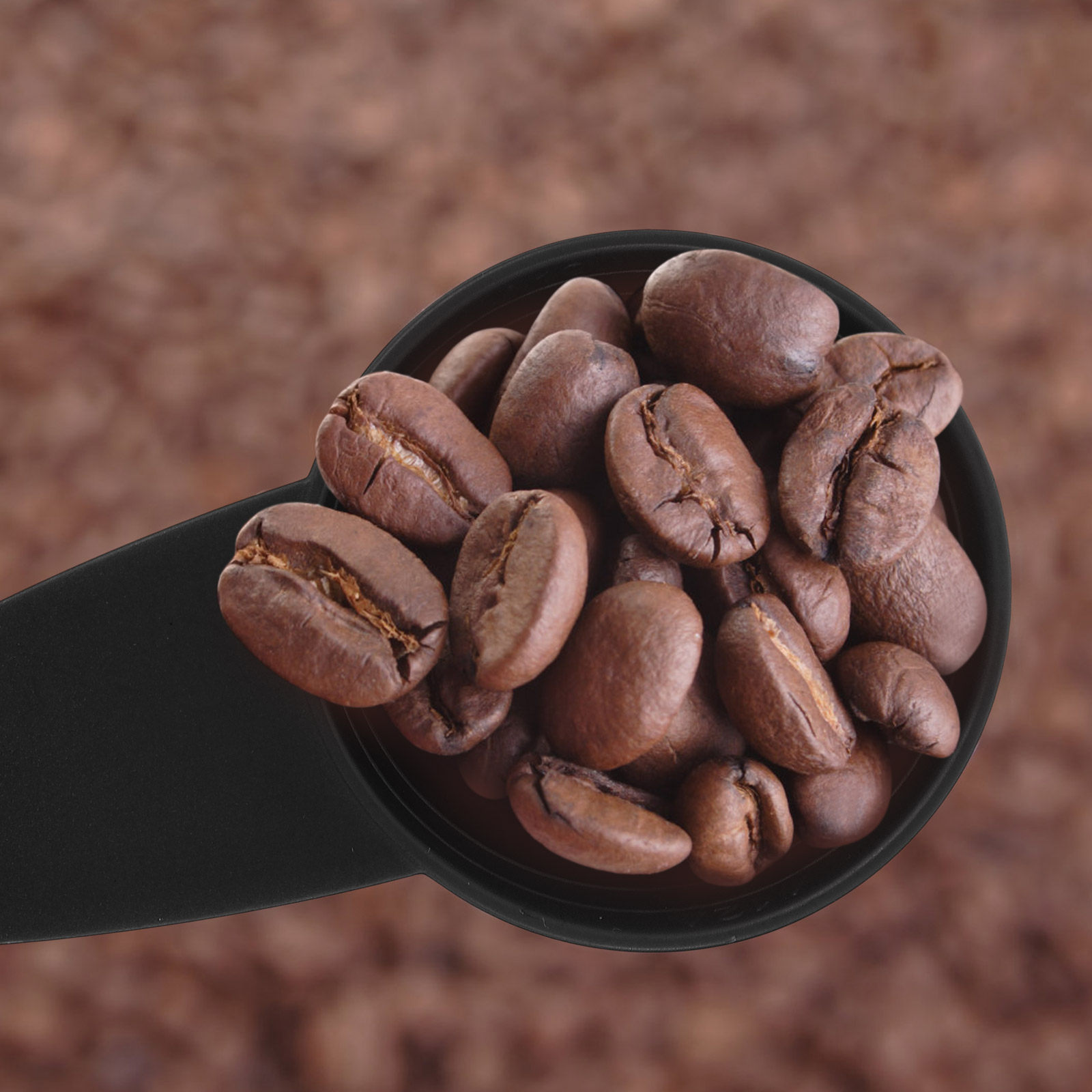 5Pcs Measure Spoon Long Handle - Coffee Tea Sugar 评论和价格